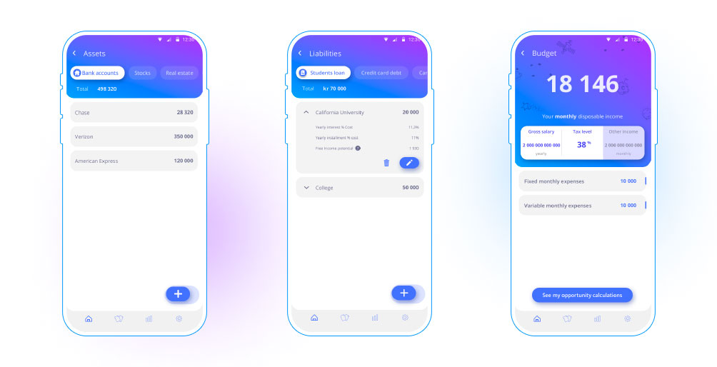 functionality Values input for Assets, Liabilities and Budget sections of the info​